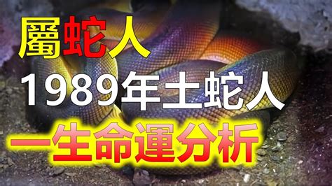 屬蛇的貴人|生肖蛇: 性格，愛情，2024運勢，生肖1989，2001，2013